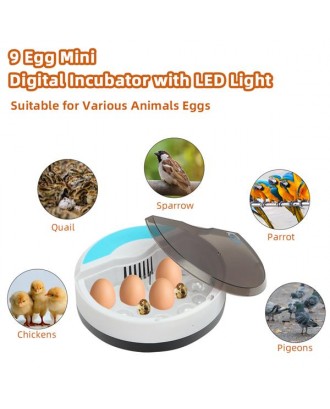[US-W]9 Egg Automatic Poultry Incubator with LED Lights