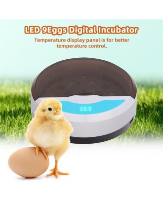 [US-W]9 Egg Automatic Poultry Incubator with LED Lights
