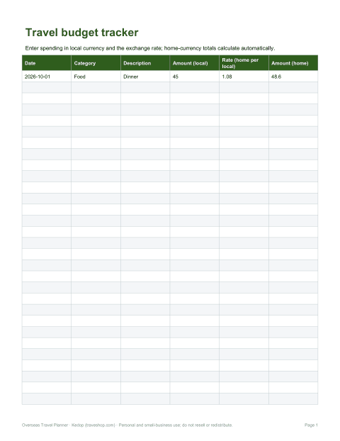 Preview of the first page of Budget tracker (XLSX)